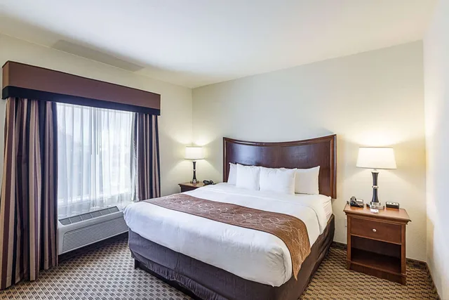 جناح بسرير كينج، Comfort Suites San Antonio North - Stone Oak 2/3