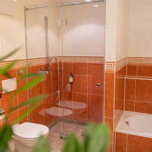 جناح ديلوكس، Altstadthotel Brauwirt 5/10
