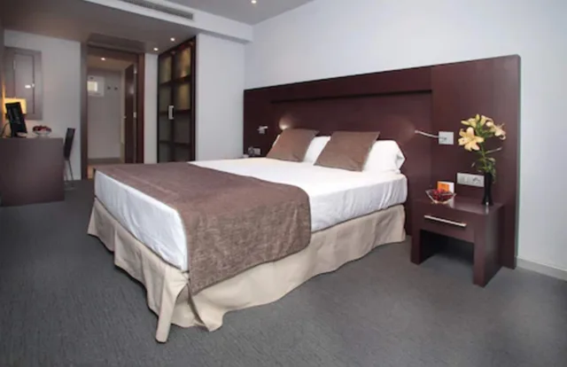 غرفة قياسية، Hotel Madanis Liceo 8/10