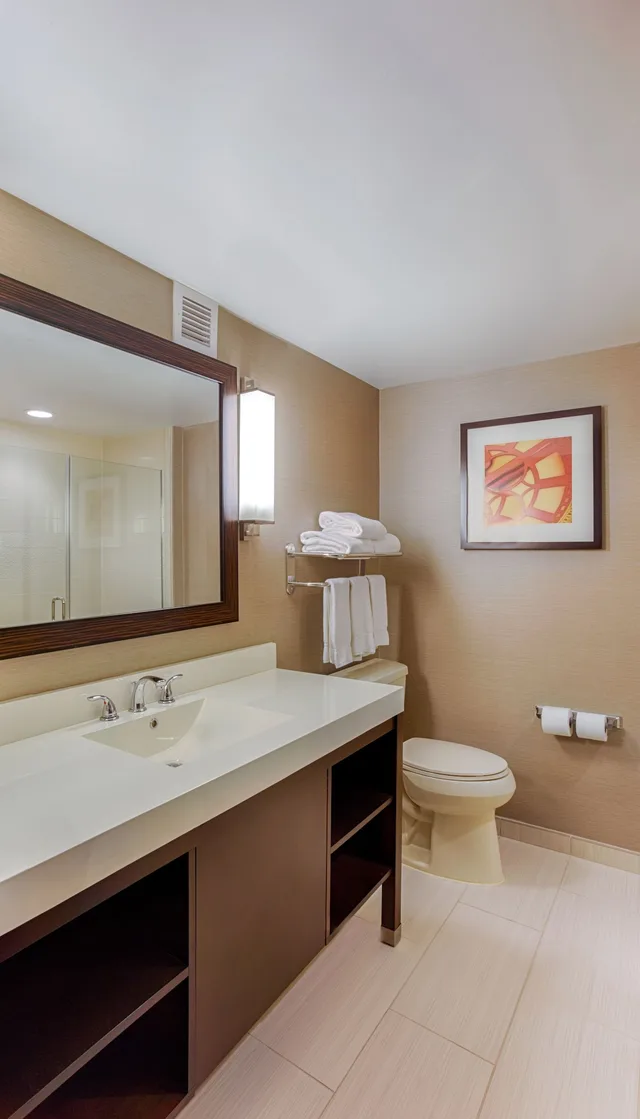 غرفة قياسية بسرير كينج، Holiday Inn Express And Suites Baltimore West Catonsville 3/3