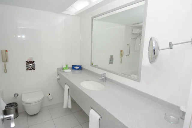 جناح بسرير كوين بغرفة نوم واحدة بمنطقة جلوس، Holiday Inn Istanbul City 8/9