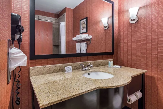 جناح بسرير كينج، Comfort Suites Leesville 1/1