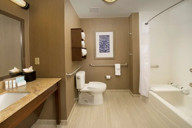 غرفة لذوي الإعاقة، Hampton Inn and Suites San Antonio Downtown Market Square 2/2
