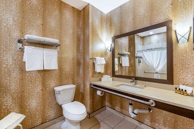 غرفة بسرير كينج بمطبخ صغير لذوي الإعاقة، Best Western Plus Kindersley Hotel 4/5