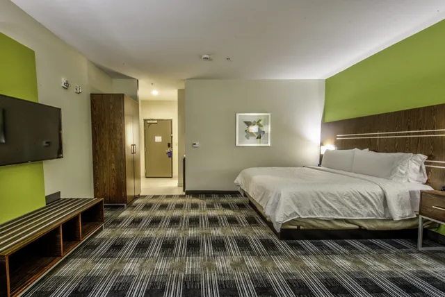 غرفة قياسية بسرير كينج يُسمح فيها بالحيوانات الأليفة، Holiday Inn Express Suites Farmers Branch 2/10