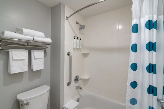 استوديو بسرير كينج مع أريكة لذوي الإعاقة، TOWNEPLACE SUITES DALLAS MCKINNEY 8/10