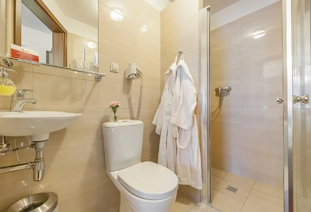 Business, Double Bed, Hotel Alexander 1/1