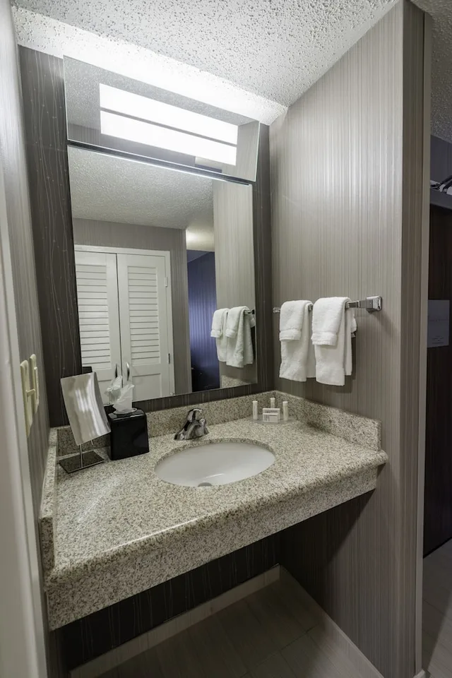 غرفة بسرير كينج مع أريكة لذوي الإعاقة، Courtyard by Marriott Cleveland Willoughby 7/7