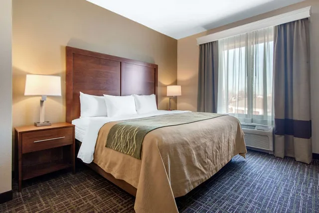 Efficiency, Business, Suite, King Bed، Comfort Inn And Suites Norman 2/3