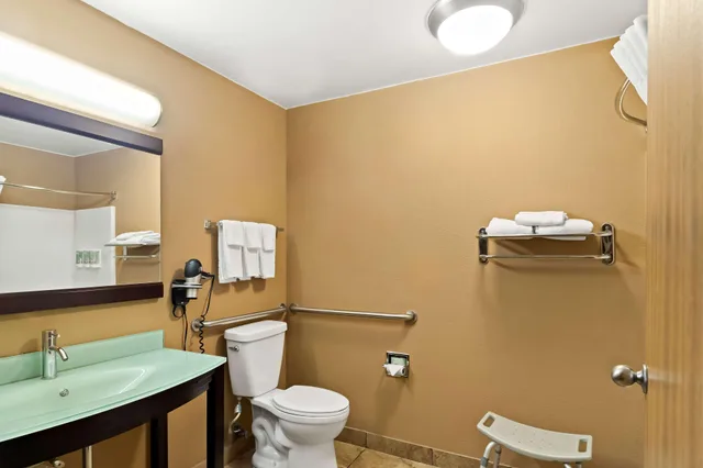 غرفة بسرير كينج لذوي الإعاقة، Best Western Paducah Inn 3/3