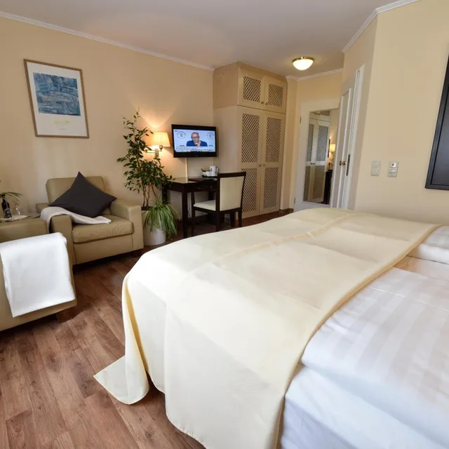 غرفة قياسية بسرير مزدوج، Atrium Hotel Amadeus 6/9