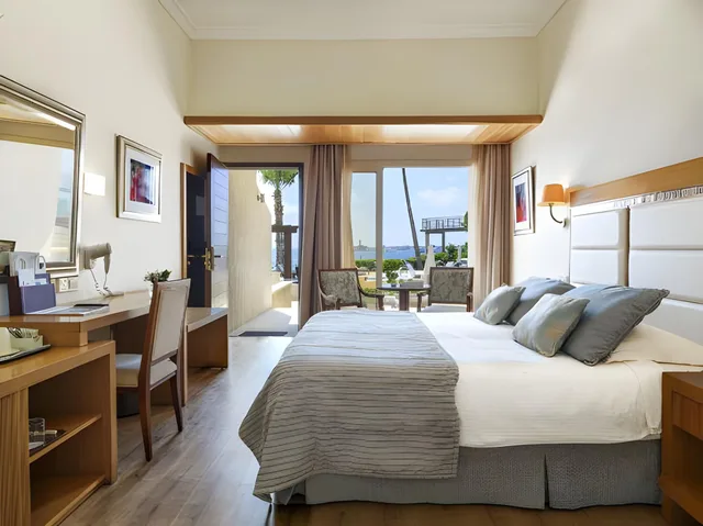 Garden, Superior, Cabana, Sea View، Alexander the Great Beach Hotel 1/1
