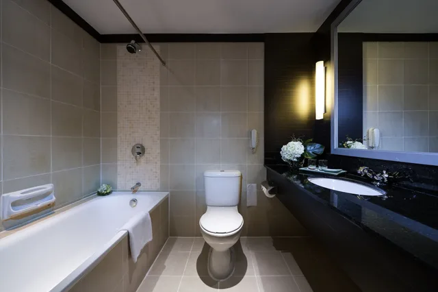 Deluxe, King Bed, Pool Side, Grand Mercure Singapore Roxy 4/6
