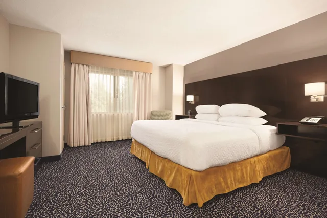 جناح تنفيذي بسرير كينج مع أريكة، Embassy Suites Louisville East 2/5