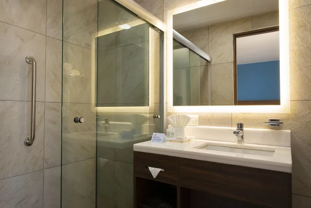 غرفة قياسية بسرير كينج بإطلالة على المدينة، Holiday Inn Express Merida Centro 7/8