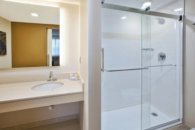 غرفة بسرير كينج بحوض استحمام لذوي الإعاقة، Fairfield by Marriott Inn & Suites Herndon Reston 4/7