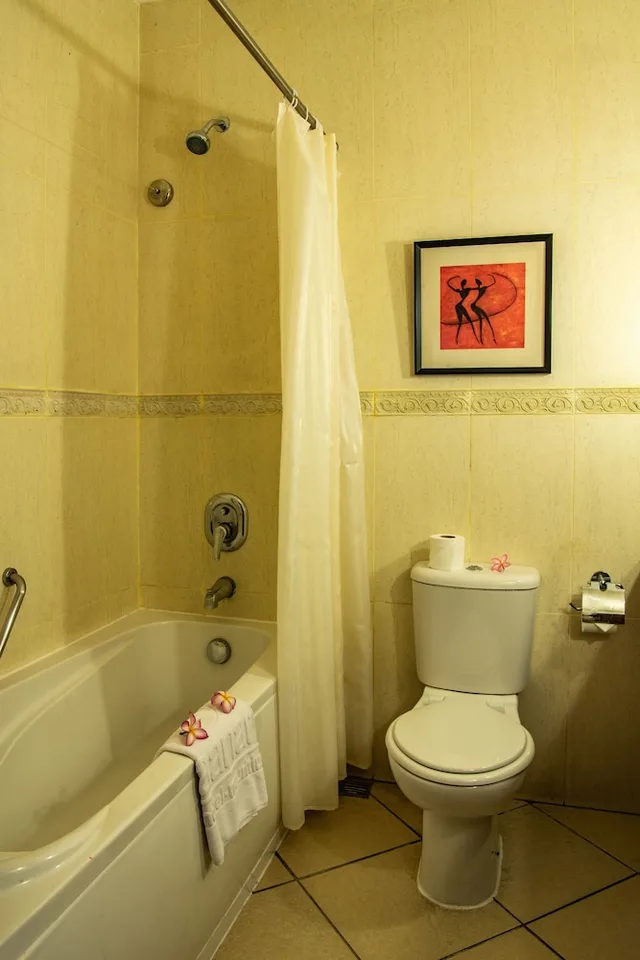 غرفة كلوب، Aanari Hotel and Spa 6/6