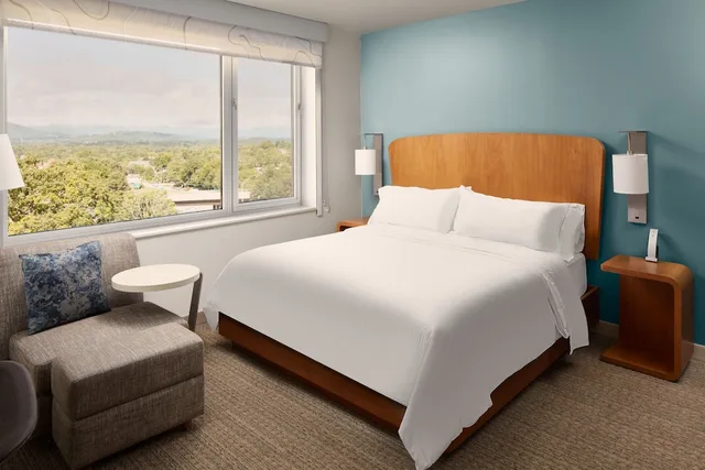 Standard, King Bed, Mountain View, Element Asheville Downtown 1/8