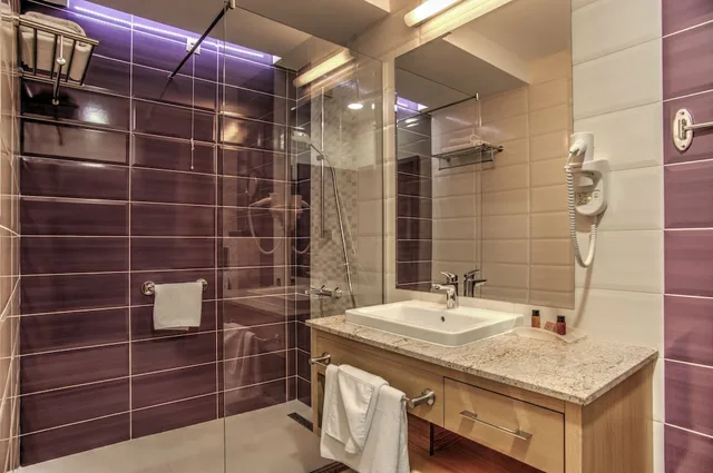 Standard, Single, Holiday Inn Plovdiv 9/11