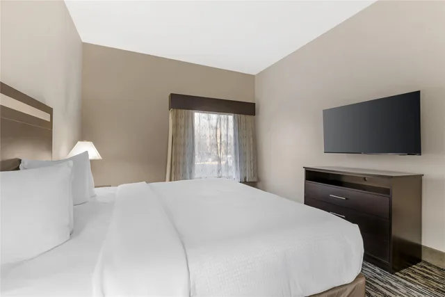 غرفة بسرير كينج مع أريكة، Best Western Plus McDonough Inn & Suites 4/8
