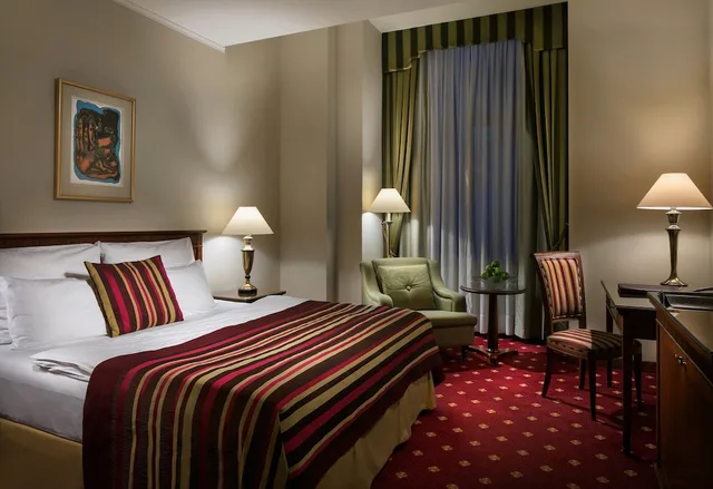 غرفة ديلوكس بسرير كينج بغرفة نوم واحدة، Art Nouveau Palace Hotel Prague 2/7