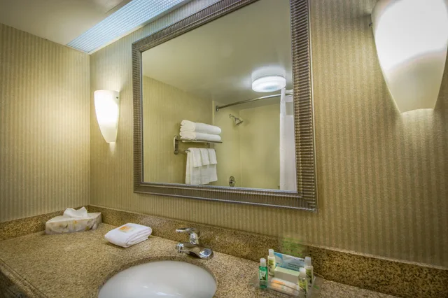 غرفة قياسية بسريرين كوين لذوي الإعاقة، Holiday Inn Arlington at Ballston, an IHG Hotel 3/4