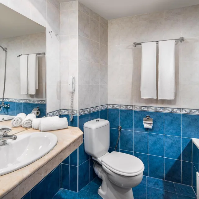 Deluxe, Twin Beds, Sea View, Balcony, Pool Access، Alba 9/9