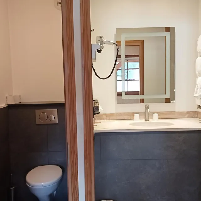 غرفة عائلية، Hotel Spa Le Lion D Or 1/4