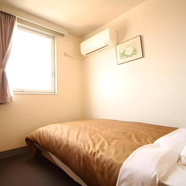 غرفة قياسية، Hotel LC Gifu Hashima 1/2