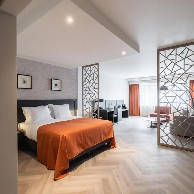 جناح جونيور بسرير كينج بإطلالة على المدينة، TOP CityLine Hotel Hyllit 1/10