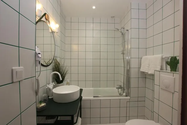 Standard, Double Bed, Hotel Saint Regis 2/2