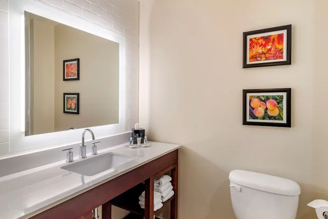 Suite, King Bed, Accessible, Comfort Suites Newnan GA 3/5