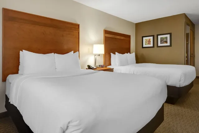 غرفة بسريرين كوين يُسمح فيها بالحيوانات الأليفة في الطابق الأرضي، Comfort Inn Millersburg, OH 1/9