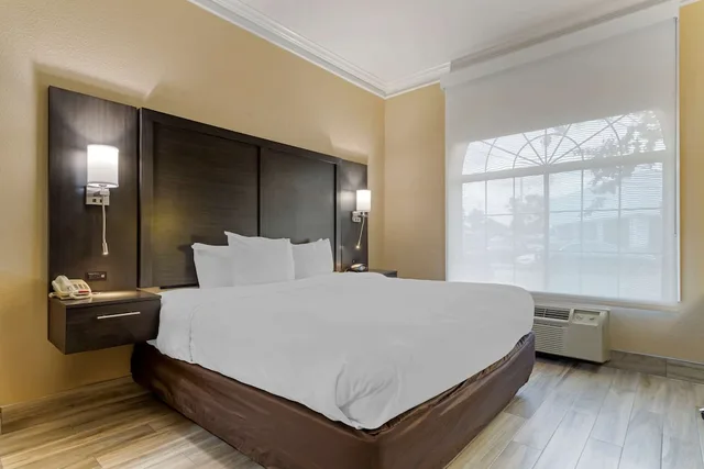 Upgrade, Suite, King Bed, Sofa، Comfort Suites Kingwood Houston North 1/2