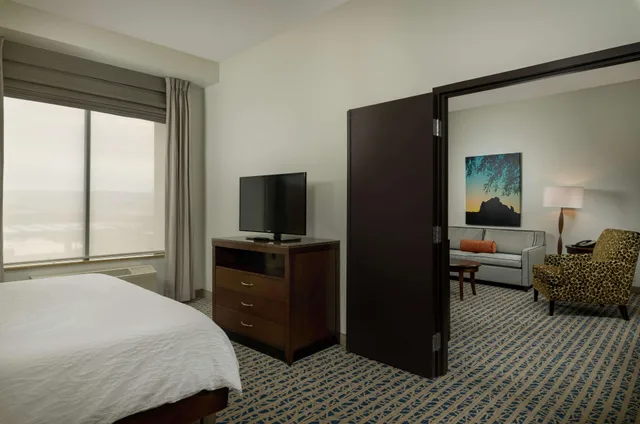جناح بسرير كينج بجاكوزي لذوي الإعاقة، Hilton Garden Inn Phoenix Airport North 2/3