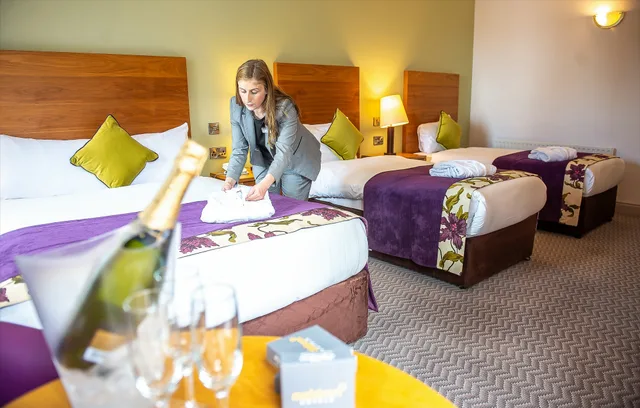 Room, Single, Double Bed, Maldron Hotel Galway 5/7