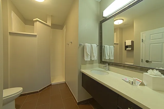 Studio, Suite, Kitchen, Staybridge Suites Houston-Nasa/Clear Lake 5/7