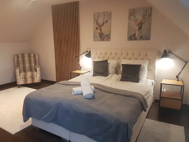 Superior, Suite, Queen and Twin Beds, Mountain View, Sofa, Poduszka Apartamenty Pod Lysica 2/4