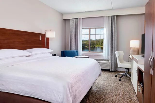 غرفة بسرير كينج، Sheraton Jacksonville Hotel 1/3