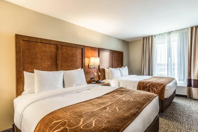 جناح بسريرين كوين مع أريكة، Comfort Suites Channelview - Houston East 1/3