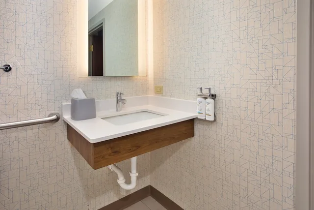 جناح بسرير كينج لذوي الإعاقة، Holiday Inn Express & Suites Rochester Webster, an IHG Hotel 3/3