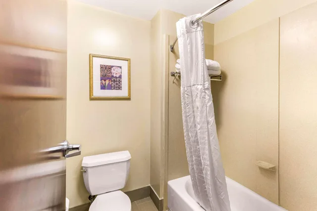جناح، Comfort Suites Elkridge Columbia Gateway 3/4