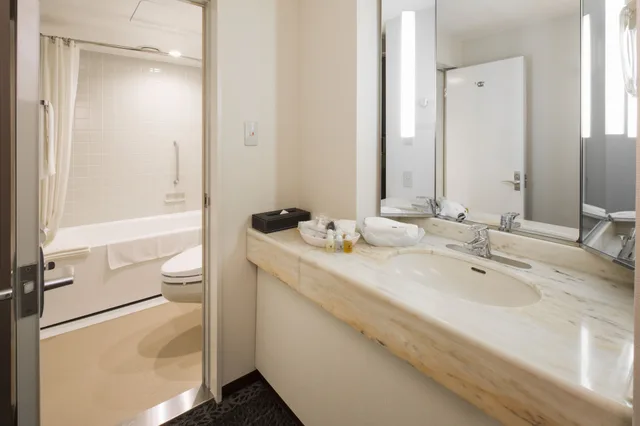 غرفة ديلوكس بسرير كوين، Premier Hotel Nakajima Park Sapporo 7/10