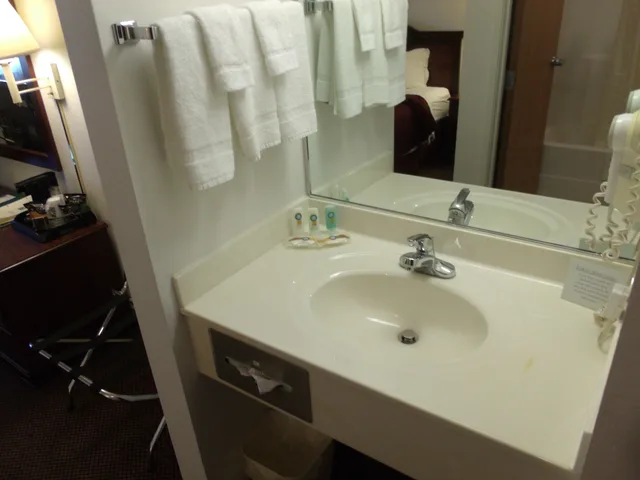 غرفة قياسية بسرير كينج، Quality Inn & Suites Eldridge Davenport North 6/7
