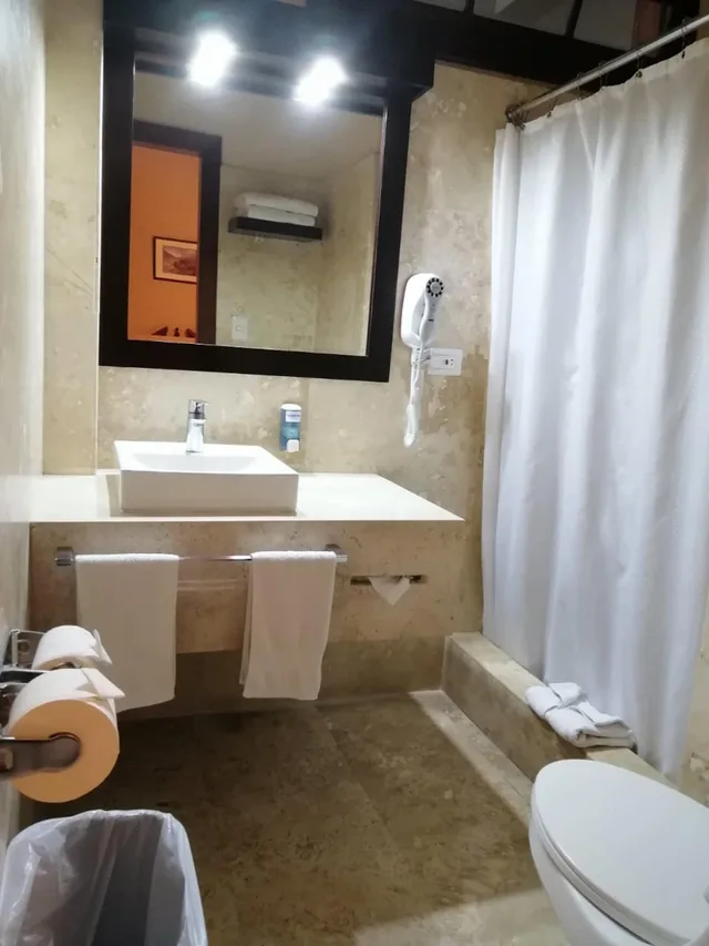 غرفة قياسية بسريرين مزدوجين، Hotel Royal Palace 3/4