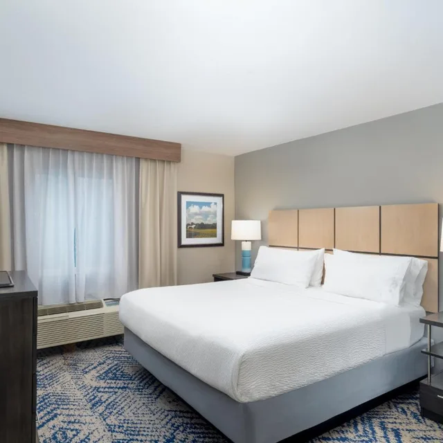 جناح بسرير كينج لذوي الإعاقة، Candlewood Suites Gonzales - Baton Rouge Area, an IHG Hotel 1/2