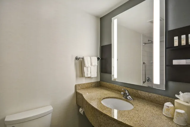 غرفة بسرير كينج، Hilton Garden Inn Gulfport Airport 5/6