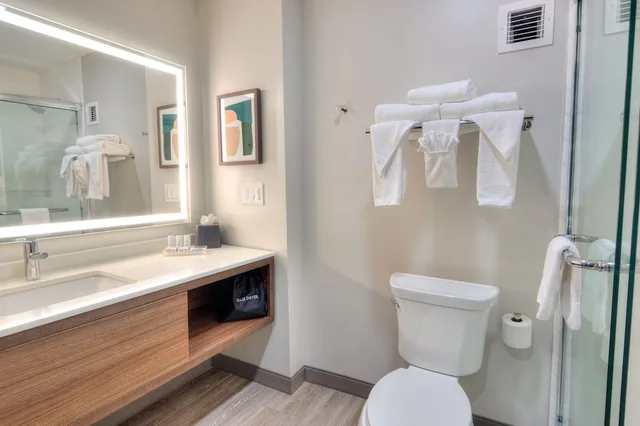 غرفة قياسية بسرير فردي، Holiday Inn Gainesville-University Ctr 5/5