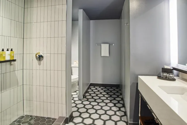 Room, King Bed, Accessible, Thompson Dallas 1/1