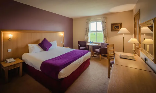 غرفة قياسية، Roganstown Hotel Country Club 1/1